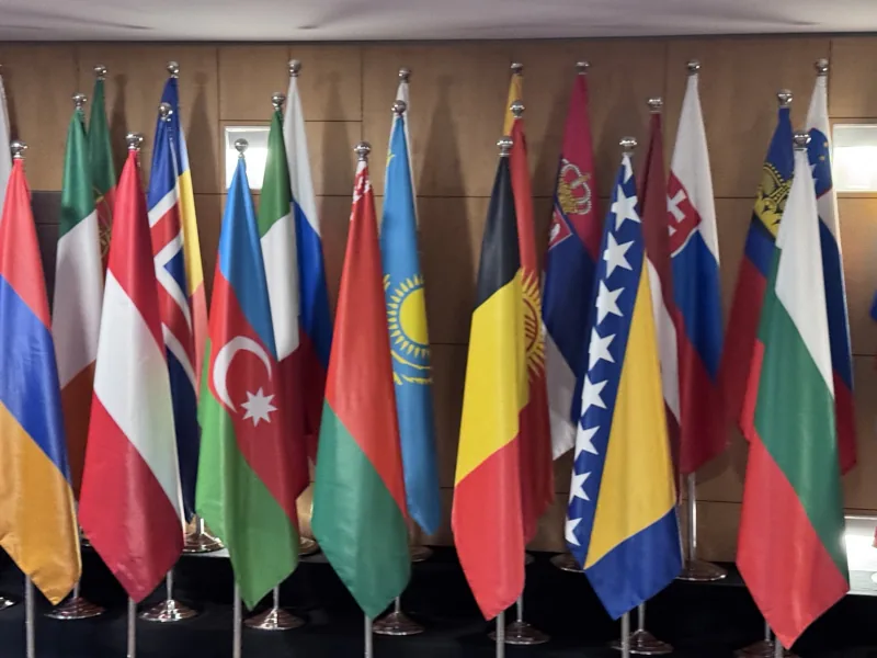 Detalle de banderas de diferentes países confeccionadas en doble tejido raso